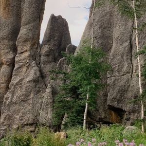 Meet your Posher, Bryann